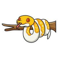 Cute albino pied reticulated python cartoon on tree branch vector