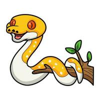 Cute albino pied reticulated python cartoon on tree branch vector