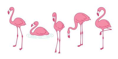 Cartoon pink flamingo vector set icon Cute flamingos collection Flamingo character animal exotic nature wild fauna illustration doodle