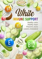 Color rainbow diet white day nutrition vector