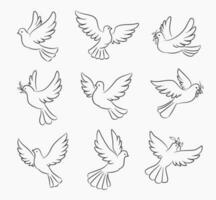 Christmas dove and pigeon bird silhouettes vector