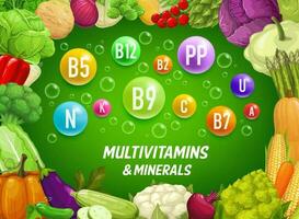 Multivitamins and minerals in farm vegetables vector