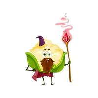 Cauliflower vegetable cartoon wizard character vector