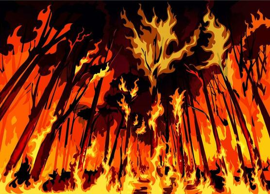 Forest fire wildfire disaster with burning trees