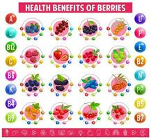 gráfico mesa contenido de vitaminas mineral en bayas vector