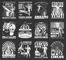 circo íconos monocromo, parque de atracciones carnaval Clásico vector