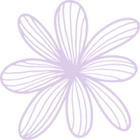 Beautiful flower isolated png