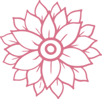 Beautiful flower isolated png