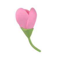 3d icono hacer primavera Cereza flor sin abrir brote florecer sakura ilustración. sencillo y linda pétalo aislado transparente png antecedentes