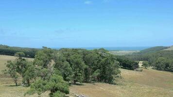 australier vildmark jordbruksmark antenn planskild korsning i de sommar video