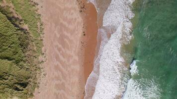 un hermosa aislado playa visto desde un aves ojo ver video