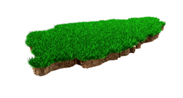 Saint Lucia Map Grass and ground Map texture 3d illustration png