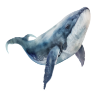 Ai Generate beautiful whale in ocean sea watercolor painting png