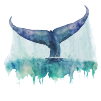 Ai Generate beautiful whale in ocean sea watercolor painting png