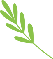 simple green leaf in childish style png