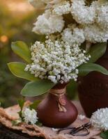 Still life with white flowers in the garden. Summer still life photo