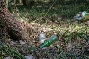 Garbage in the forest. Glass bottles under the trees in the forest. Ecological problems photo