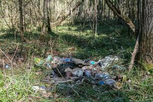 Garbage dump in the forest. A pile of rubbish under the trees. Ecological problems photo
