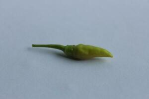 Green chili pepper on a white background photo