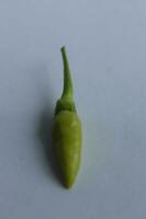 Green chili pepper on a white background photo