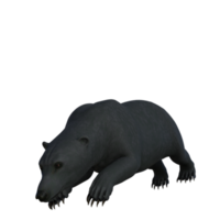 Black Bear cub isolated 3d rendering png