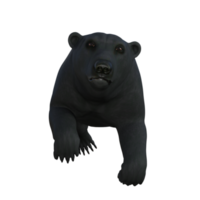 negro oso cachorro aislado 3d representación png