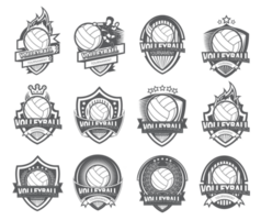 Black and white Volleyball logo set png