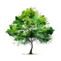 Watercolor green tree cutout png