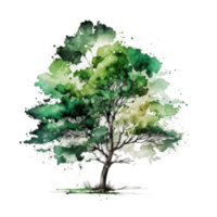 Watercolor green tree cutout png