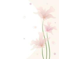 Postcard background with pink translucent delicate flowers on a stem and pollen. Pink and white background. Vector. EPS10. vector