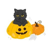 dibujos animados negro gato se sienta en un Víspera de Todos los Santos calabaza vector