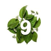 Paper number nine on background of green leaves. Minimal creative Layout with natural elements for your design photo