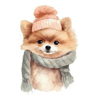 Watercolor Pomeranian Puppy With Cotton Hat, and Scarf vector