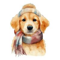 Watercolor Golden Retreiver Dog With Cotton Hat, and Scarf vector