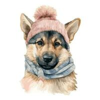 Watercolor German Sheperd Dog With Cotton Hat, and Scarf vector