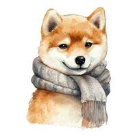 Watercolor Shiba Inu Dog With Cotton Scarf vector