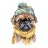 Watercolor Brussels Griffon Puppy With Cotton Hat, and Scarf vector