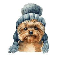 Watercolor Yorkshire Terrier Puppy With Cotton Hat vector