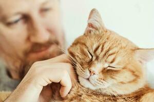 barbado hombre abrazando y acariciando jengibre gato de cerca. selectivo atención en de gato bozal foto