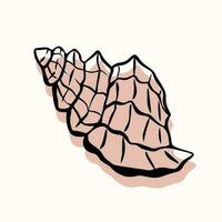 Shell with an outline in a trendy minimal style. Vector illustration of a shell clam for tattoo, design social media