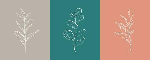 A set of fine white drawn bay leaf, eucalyptus leaf and tree leaf on colored background. With trendy summer color palette. For design, website, t-shirt print, tattoo, banner, social media vector