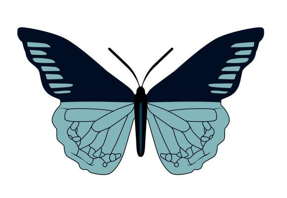 Butterfly simple icon. Vector Illustration