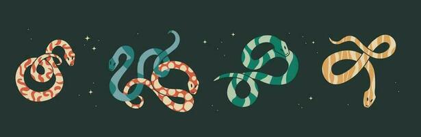 Cute twisted snakes with an abstract print inside. Flat vector illustration for design.