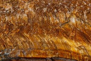 Macro mineral stone Tiger's eye in the breed on a white background photo