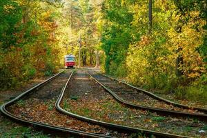 Tram and tram rails in colorful forest photo