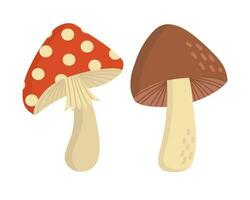 Doodle flat clipart. Edible brown mushroom. All objects are repainted. vector