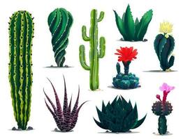 Mexican cactuses, cartoon prickly succulent plants vector