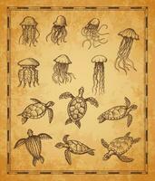 Vintage map elements, jellyfish, turtle sketches vector