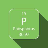 Phosphorus symbol with long shadow design. Chemical element of the periodic table. Vector illustration.