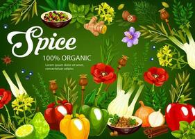 Herbs, spices, seasonings vegetables, condiments vector